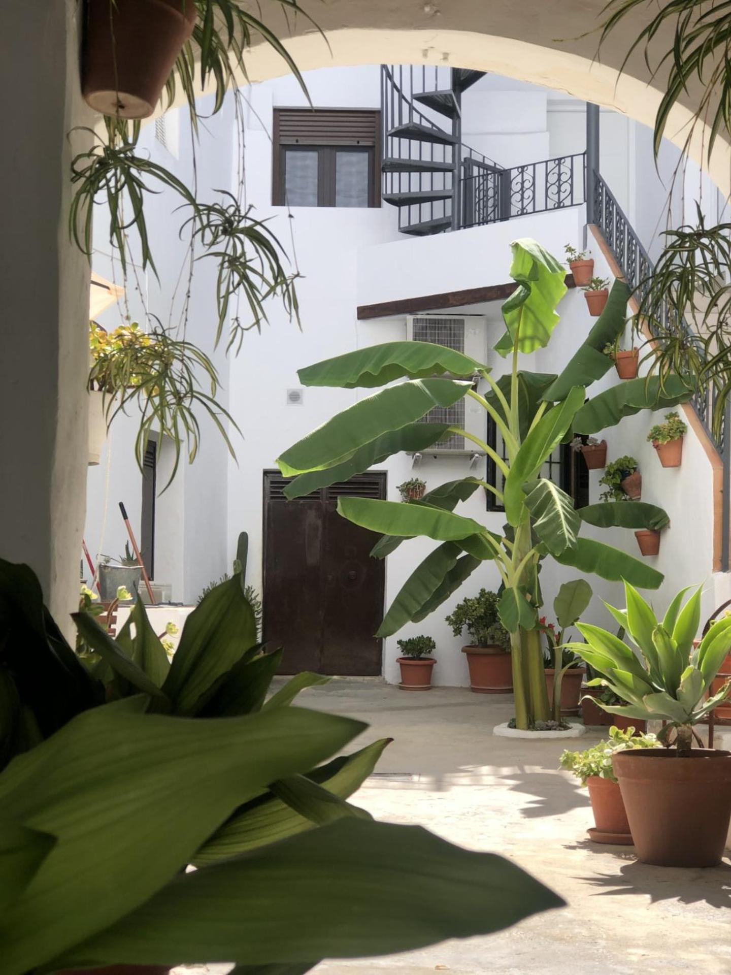 Apartament Loft La Abuela Vejer de la Frontera Zewnętrze zdjęcie